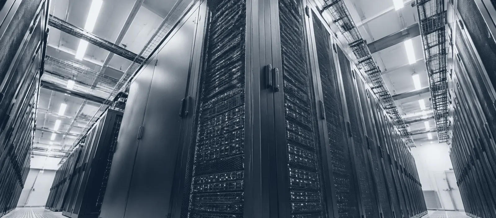 Rows of server racks from a low angle
